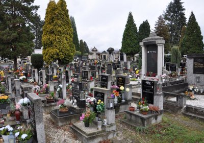 Novosedlice, Omnium, 2020