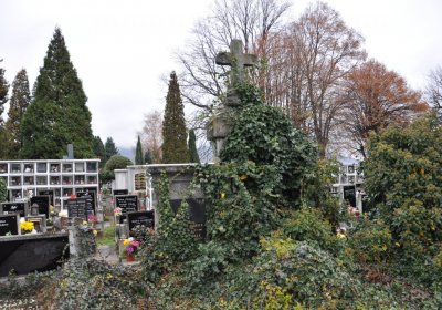 Novosedlice, Omnium, 2020