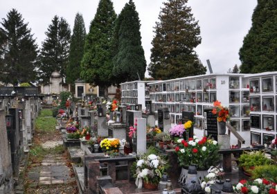 Novosedlice, Omnium, 2020