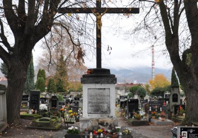 Novosedlice, Omnium, 2020