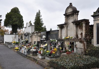 Novosedlice, Omnium, 2020