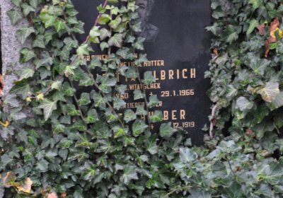 Novosedlice, Omnium, 2020