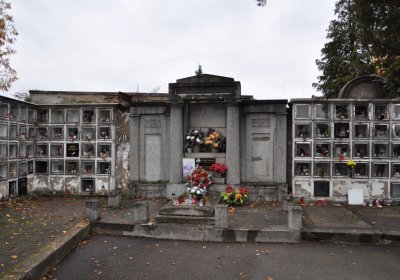 Novosedlice, Omnium, 2020