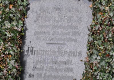 Novosedlice, Omnium, 2020