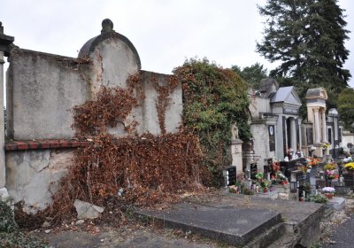 Novosedlice, Omnium, 2020