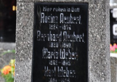 Novosedlice, Omnium, 2020