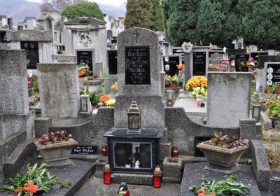 Novosedlice, Omnium, 2020