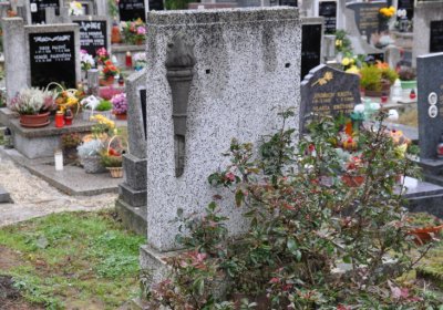 Novosedlice, Omnium, 2020