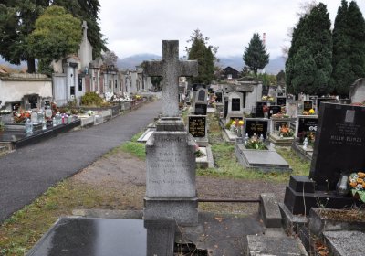 Novosedlice, Omnium, 2020