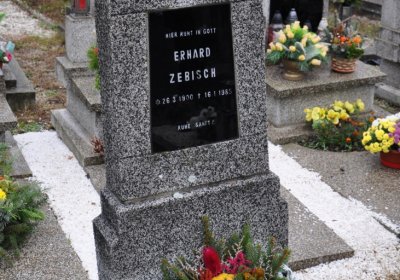 Novosedlice, Omnium, 2020