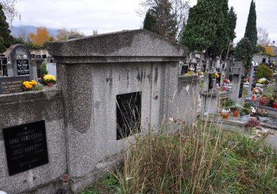 Novosedlice, Omnium, 2020