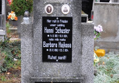 Novosedlice, Omnium, 2020