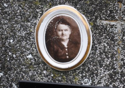 Novosedlice, Omnium, 2020