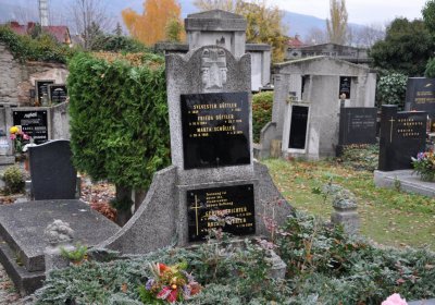 Novosedlice, Omnium, 2020