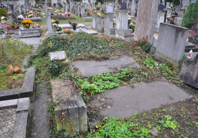 Novosedlice, Omnium, 2020