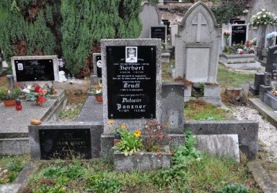 Novosedlice, Omnium, 2020