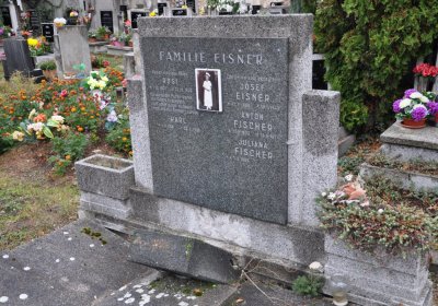 Novosedlice, Omnium, 2020