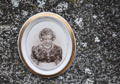 Novosedlice, Omnium, 2020