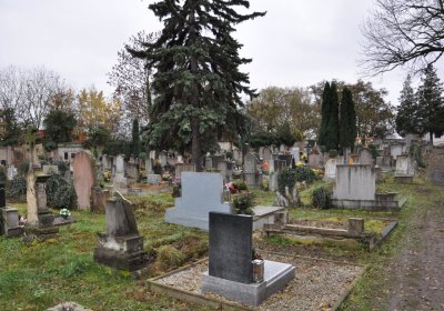 Novosedlice, Omnium, 2020