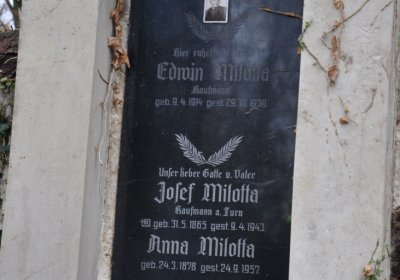 Novosedlice, Omnium, 2020