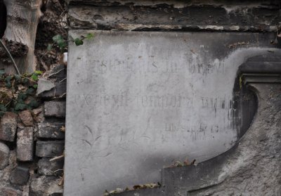 Novosedlice, Omnium, 2020