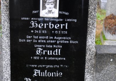 Novosedlice, Omnium, 2020