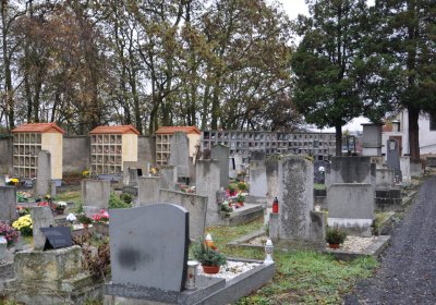 Novosedlice, Omnium, 2020