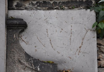 Novosedlice, Omnium, 2020