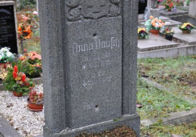 Novosedlice, Omnium, 2020