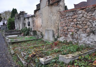 Novosedlice, Omnium, 2020