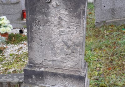 Novosedlice, Omnium, 2020