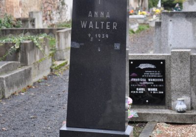 Novosedlice, Omnium, 2020