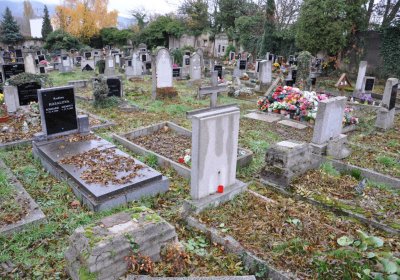 Novosedlice, Omnium, 2020