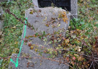 Novosedlice, Omnium, 2020