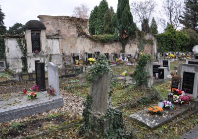 Novosedlice, Omnium, 2020