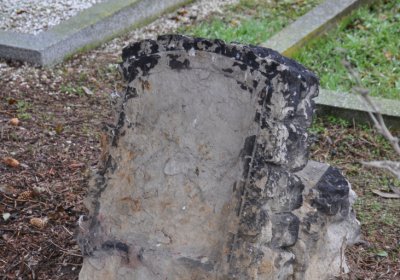 Novosedlice, Omnium, 2020