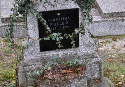 Novosedlice, Omnium, 2020