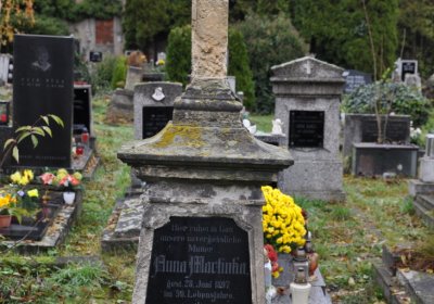 Novosedlice, Omnium, 2020