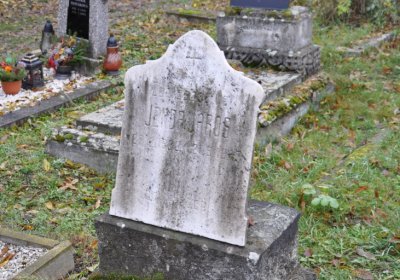 Novosedlice, Omnium, 2020