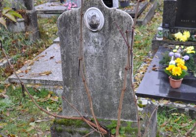 Novosedlice, Omnium, 2020