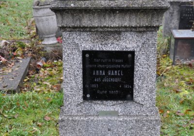 Novosedlice, Omnium, 2020