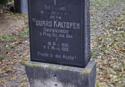 Novosedlice, Omnium, 2020