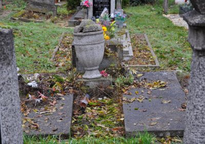 Novosedlice, Omnium, 2020