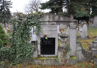 Novosedlice, Omnium, 2020