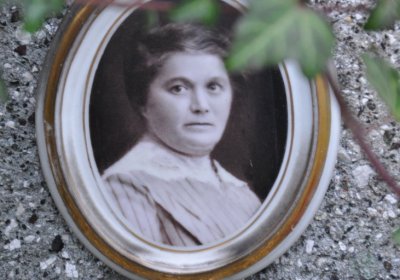 Novosedlice, Omnium, 2020