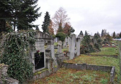 Novosedlice, Omnium, 2020