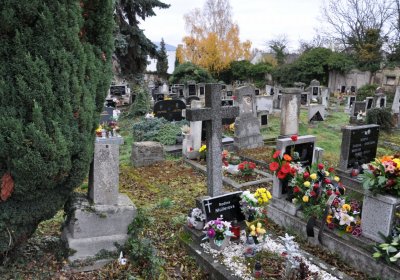 Novosedlice, Omnium, 2020