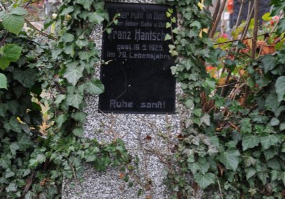 Novosedlice, Omnium, 2020