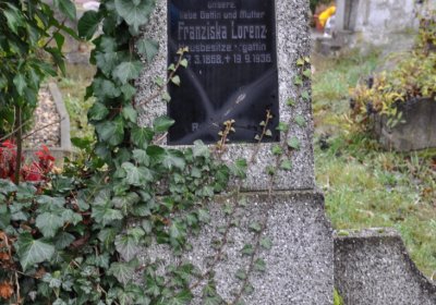 Novosedlice, Omnium, 2020