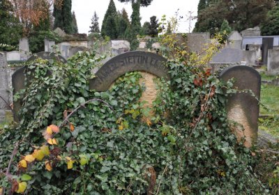 Novosedlice, Omnium, 2020